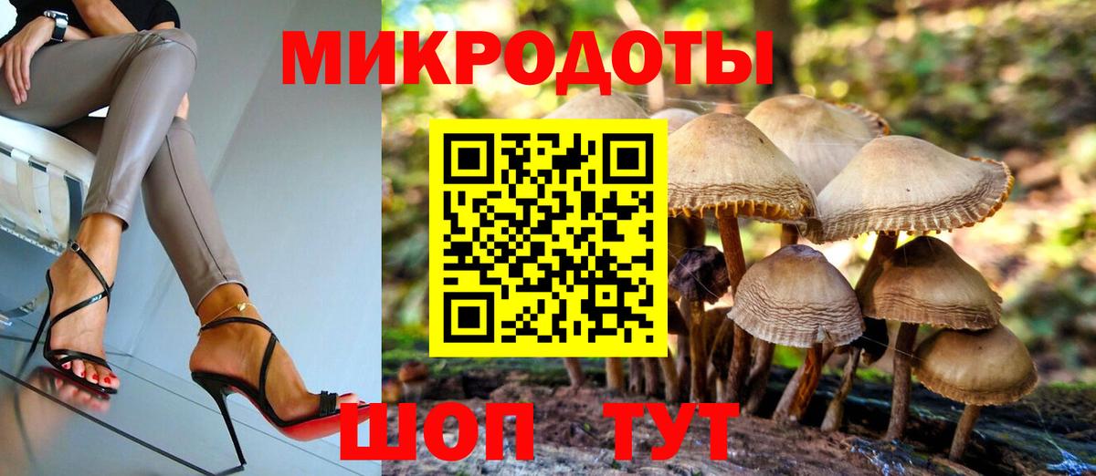 Малгобек  Псилоцибиновые грибы GOLDEN TEACHER  Вход с VPN 